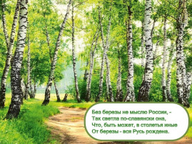 11 апреля –День русской березы. 11 апреля –День русской березы.